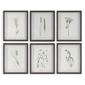 Forest Finds - Framed Wall Decor (Set of 6)-22 Inches Tall and 18 Inches Wide - Picture 1 of 1