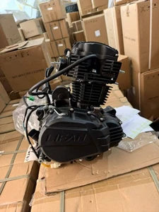 250cc 167FMM-M Lifan Engine w/ 5 Speeds and Kickstart - Picture 1 of 3