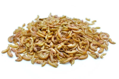 1 KG Bachflohkrebse - Gammarus getrocknet, 33,99€/KG, Futter-Tiere, Koi, Vogel