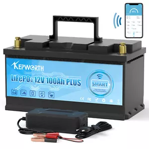 Batería de litio 100Ah 200Ah 300Ah 12V LiFePO4 BMS batería autocaravana 20000 ciclos - Imagen 1 de 122