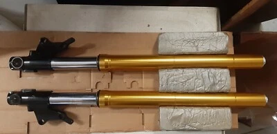 43505279GB FORCELLE MARZOCCHI  - Imagen 1 de 4