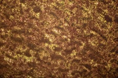 Fondo de fondo de estudio de fotografía de muselina colores otoñales 8,5 pies x 17 pies Foto 1 de 2