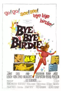 Bye Bye Birdie Movie Poster 11x17 - Picture 1 of 1