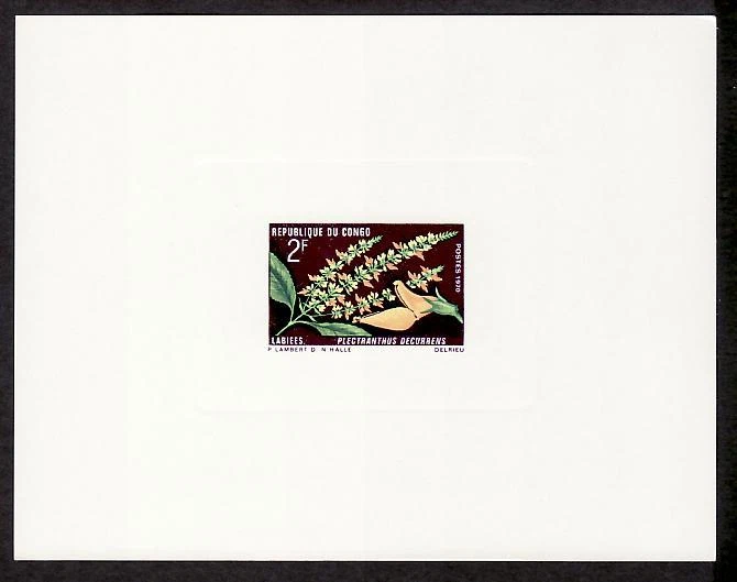 Congo Sc223 Plant, Deluxe Proof. - Image 1 of 1