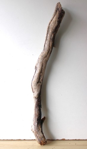 Photo 1/13