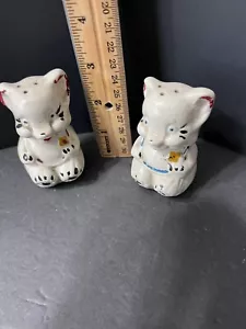 Vintage Shawnee Pottery Painted Bears Salt and Pepper Shakers - Picture 1 of 8