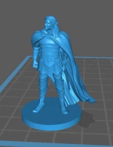 Elf Paladin - DND - Pathfinder - Dungeons & Dragons - RPG - Tabletop - mz4250- M - Picture 1 of 4