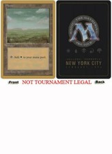 Plains (4th Edition Dark - Preston Poulter - 1996) World Championship NM