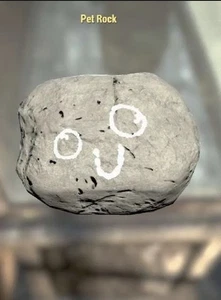 Fallout 76 Xbox Items! Pet Rock! - Picture 1 of 1