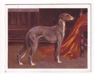 WHIPPET Vintage 1914 Dog Painting Card - Picture 1 of 2