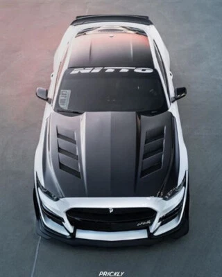 Carbon Fiber Hood AMS For 15-17 2dr Ford MUSTANG Foto 1 de 4