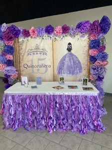 Quinceanera Backdrop - Picture 1 of 3