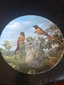 Birds Of The Seasons/Baltimore Orioles In Summer Plate, 1991 Knowles - Picture 1 of 3