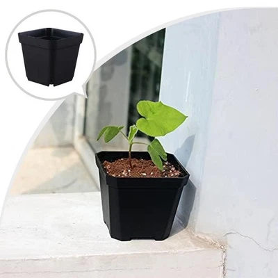 Stackable Square Flower Pot Optimized Design with Drainage for Healthy Roots - Image 1 of 4