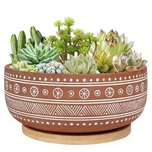 8 Inch Terracotta Succulent Planter Pot With Drainage Hole And Bamboo Tray Round - Picture 1 of 7