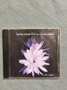 Rare Lourdes Perez & The Dama de Noche Orchestra Azul y Serena CD 2004 - Picture 1 of 5