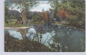 Alexandra Park, London, Ontario, Antique 1910 Knox Postcard - Picture 1 of 2