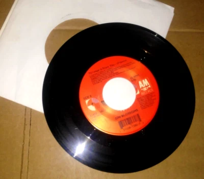 GIN BLOSSOMS Til I Hear It From You/Follow You Down A&M 45 RPM L@@K! Foto 1 de 2