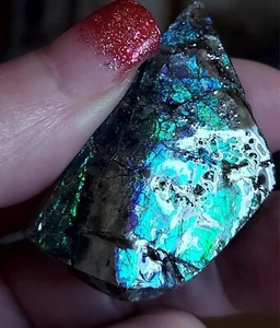 PURPLE BLUE AMMOLITE Ammonite Gemstone Specimen 44x26x10mm Canada - Picture 1 of 3