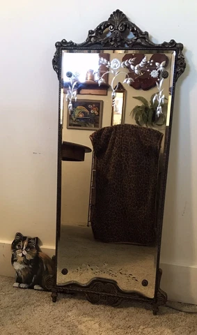 Antique Ornate Syroco Framed Etched Beveled Edged Wall Mirror Cover