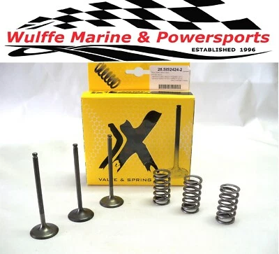 Kit de válvula de admisión y resorte de acero Yamaha YZ450F 03-09 WR450F 03-15 YFZ450R 04-19 Foto 1 de 2