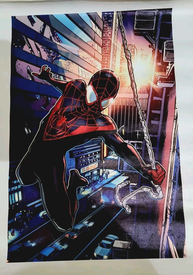 Arte de pared en lienzo de Spiderman sin marco 16x24 Foto 1 de 1