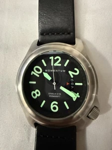 Momentum Men Steelix Black Dial Date 44mm Quartz Analog Watch - Picture 1 of 8