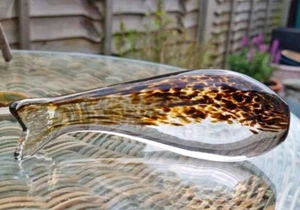 Wedgwood Glass Brown Speckled Trout Figurine Paperweight Clear - Picture 1 of 7