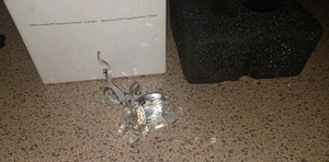 Swarovski KUDO Inspirational Africa Kristall Figur Originalkarton DEFEKTES GEWEIH  - Bild 1 von 9