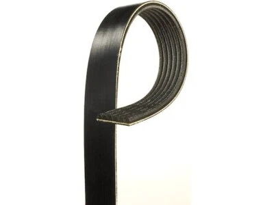 Cinturón multi costilla Isuzu i280 2006 AC Delco 24234SCZH 2,8 L 4 cilindros gas Foto 1 de 2