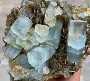 2338 Gram Superb Natural Rare Bunch Of Aquamarine Crystals On Matrix With Mica - Picture 1 of 10