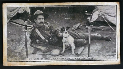 BRITISH CIGARETTE CO - SOUTH AFRICAN WAR SCENES - PRIVATE ROYAL CANADIAN IN CAMP - Image 1 of 2