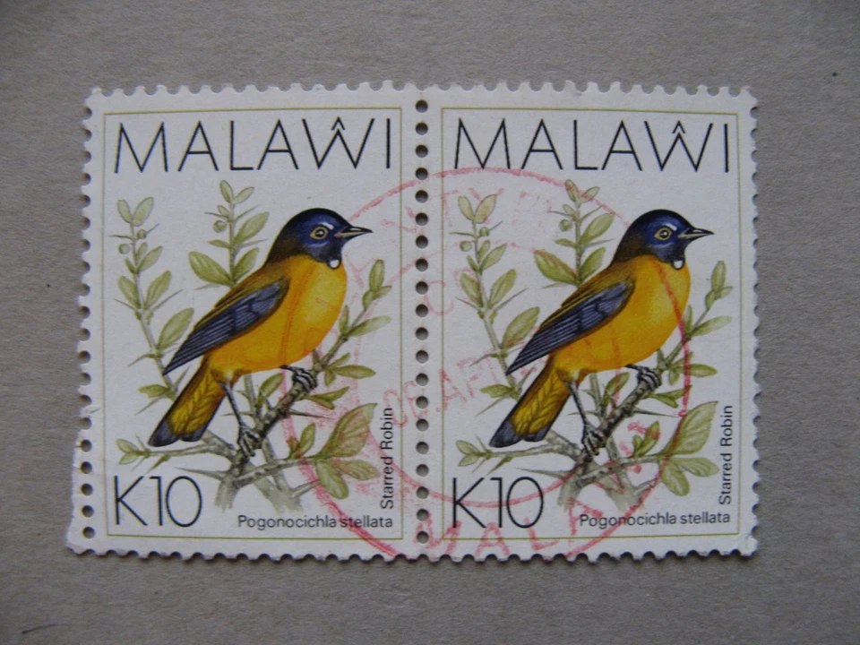 MALAWI, used pair 1994, bird starred robin 10 K, canc. red - Image 1 of 1