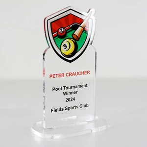 ACRYLIC COLOUR TROPHY AWARD CUSTOM DESIGNED FOR SNOOKER POOL SNOOKER BILLIARDS - Picture 1 of 4