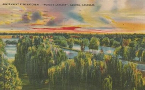 Criadero de peces del gobierno - el más grande del mundo - Lonoke, Arkansas - litografía publicada - Imagen 1 de 3