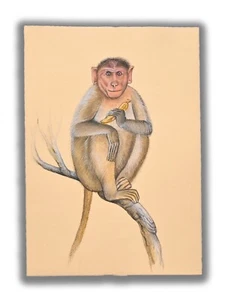 Pintura animal macaco bebé mono arte hecho a mano 8,8 x 6 pulgadas "PN13172" - Imagen 1 de 5