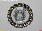 steampunk brooch pin badge bronze monkey hear all evil three wise monkeys #CS12
