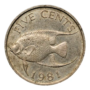 Bermuda 5 Cent Münze 1981, KM16, Auflage 900.000 - seltene Münze 🇧🇲 💠 🌟 - Bild 1 von 6