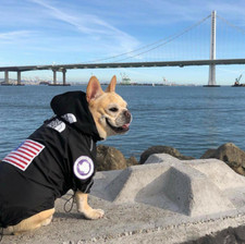 Dog Windbreaker Clothes French Bulldog Pupreme Shirt Dog Sport Retro Dog Face