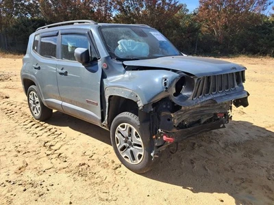 RENEGADE  2016 Glove Box 4843894 - Image 1 of 4