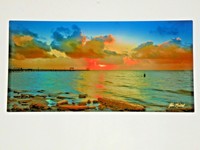 Beauty of Caddo Lake fine art digital full color metal prints color brilliance