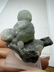 Hermoso PREHNIT Epidoto Cristal Etapa Prehnite Epidote Crystal, Malí - Imagen 1 de 5