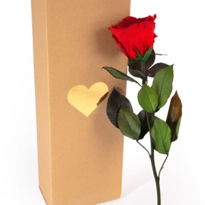 Infinity Rose konserviert mit Stiel haltbar bis 3 Jahre ewige Blume Valentinstag - Bild 1 von 137