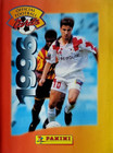 Panini Official France Football Cards 1996 - A01 à S24 - Au Choix