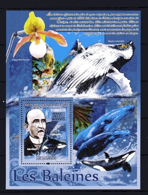 Guinea 2008 Whales Block No. 854 Новый ** 1-й выбор MNH - Изображение 1 из 1