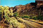 Arch Rock Ajo Mountain Drive Organ Pipe Cactus National Monument AZ Postcard