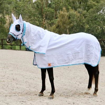 Capriole Cotton Flag Cloth Summer Hood Combo Horse Rug - Flagcloth - image 1 of 4