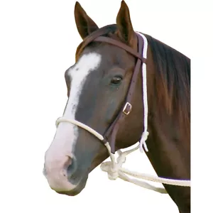 MUSTANG Brown Breaking Bridle Hackamore (8162) - Picture 1 of 2