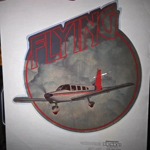 Original VINTAGE 1970s Heat Transfer | Flying - Picture 1 of 3