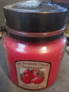 Old Virginia Candle Farm Grown Soy Wax Strawberries & Cream Candle 16 Oz New - Picture 1 of 5